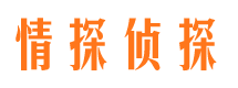 沙湾市私家侦探